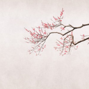 FOTOTAPETA MURAL ŚCIENNY 361070 MAGIC WALLS