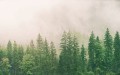 55c73715ab0b181f1ab507fb2a8b98d8