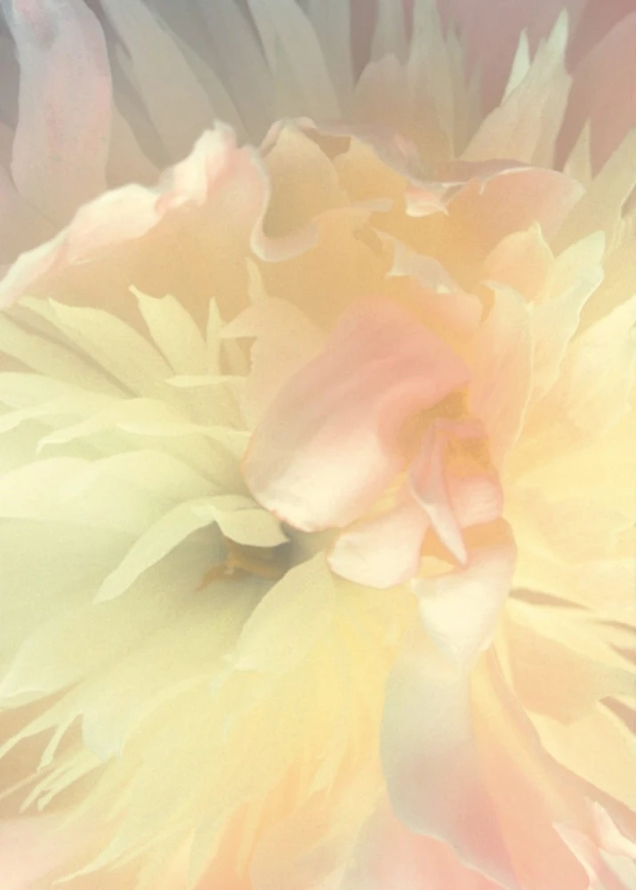 a0e520b659acc91153a16b5a2d4b414a