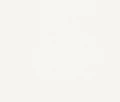  TAPETA 167009 WALLTON