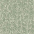 A75202.jpg