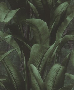 TAPETA 416237 BACK TO NATURE