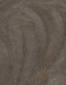 TAPETA 10476-47 ELYSIUM
