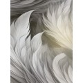 muriva-217503-plumes-black-wallpaper-p1293-4185_image.jpg