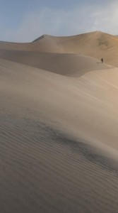 Mural fototapeta 2533N-81 Desert - Zoom