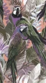 Mural fototapeta 2518N-82 Cheeky Parrots - Zoom