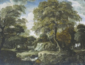 Mural fototapeta 2506V-11 Forest - Zoom