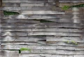 Mural fototapeta 2228-10 Timber - Zoom