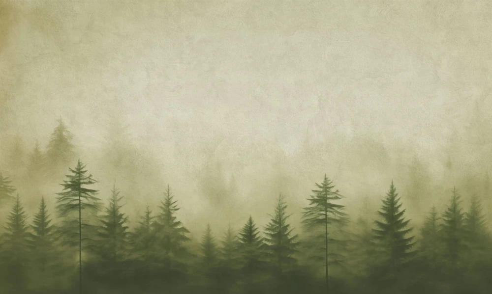 Mural fototapeta 22026-01-01 Dawn - Big Pictures / DY9122-01-01 Silent Woods - ZOOM 2