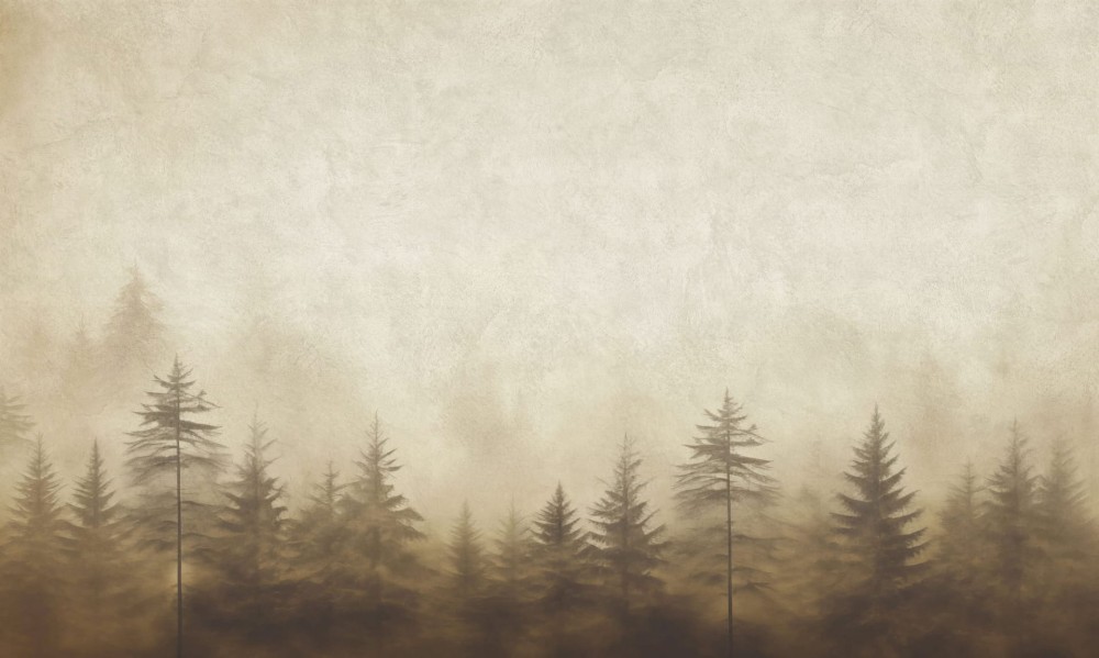 Mural fototapeta 22025-01-01 Dawn - Big Pictures / DY9121-01-01 Silent Woods - ZOOM 2