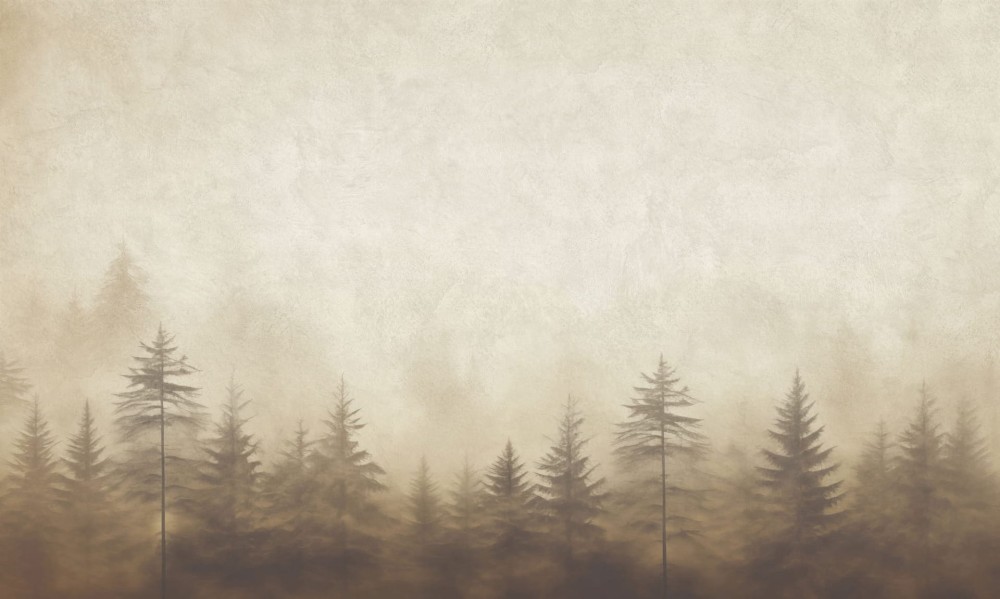 Mural fototapeta 22025-07-02 Dawn - Big Pictures / DY9121-07-02 Silent Woods - ZOOM 2