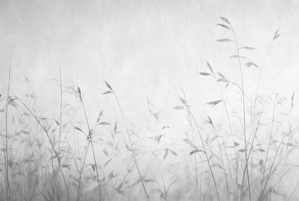 Mural fototapeta 22014-01-01 Hint of Autumn - Big Pictures / DY9111-01-01 Autum is Coming - ZOOM 2