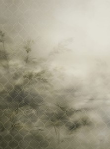 Mural fototapeta 22043-07-02 Mystic Garden - Big Pictures / DY9139-07-02 Sunlit Shadows - ZOOM 2