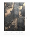 Mural fototapeta 22040-02-01 Slide - Big Pictures / DY9136-02-01 Obsidian Gold - ZOOM 2