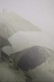 Mural fototapeta 22036-07-01 Mystify - Big Pictures / DY9132-07-01 Jungle Veil - ZOOM 2