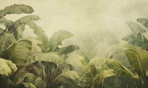 Mural fototapeta 22035-07-02 Mystify - Big Pictures / DY9131-07-02 Jungle Veil - ZOOM 2