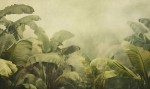 Mural fototapeta 22035-01-01 Mystify - Big Pictures / DY9131-01-01 Jungle Veil - ZOOM 2