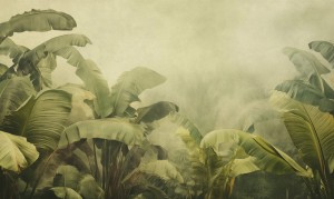 Mural fototapeta 22035-01-01 Mystify - Big Pictures / DY9131-01-01 Jungle Veil - ZOOM 2