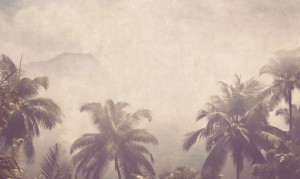 Mural fototapeta 22033-07-02 Coco Island - Big Pictures / DY9129-07-02 Coconut Skies - ZOOM 2