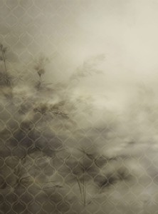 Mural fototapeta 22043-01-01 Mystic Garden - Big Pictures / DY9139-01-01 Sunlit Shadows - ZOOM 2