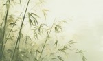 Mural fototapeta 22016-01-01 Bamboo - Big Pictures / DY9113-01-01 Zen Breeze - ZOOM 2