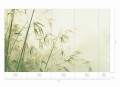 Mural fototapeta 22016-07-02 Bamboo - Big Pictures / DY9113-07-02 Zen Breeze - ZOOM 2