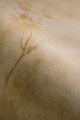 Mural fototapeta 22019-01-01 Indian Summer - Big Pictures / DY9116-01-01 Golden Ember - ZOOM 2