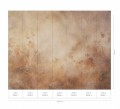 Mural fototapeta 22019-01-01 Indian Summer - Big Pictures / DY9116-01-01 Golden Ember - ZOOM 2