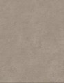 TAPETA 10474-37 MELANGE