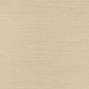 Tapeta Obiektowa Vinylpex RALPH-W-47-82  /  W47,82