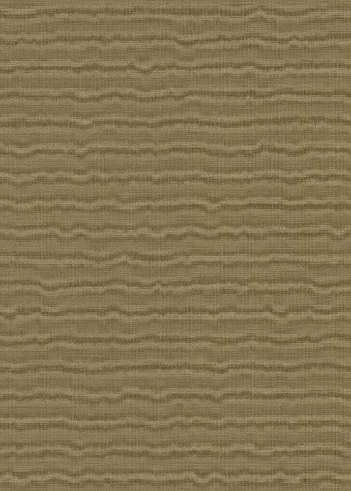 b553c186be7333414b80c4c142569ff4