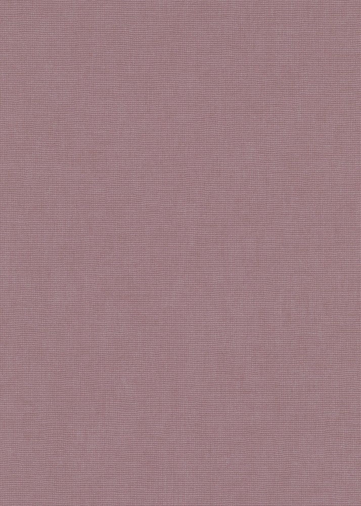 345005