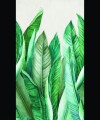 9cdc764ea6009fa0fb27a2fefc9934cc