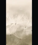 MURAL TAPETA 203801 OROM 2