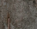 d1c613f2809ea3658e26ce2b5be5bfbb