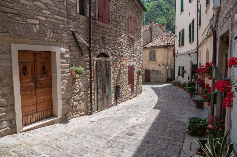 9d69c3bc789499bb9ef87a12c434c53e
