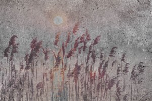 Fototapeta na Flizelinie MS-5-0358 Abstrakcyjne trzciny 375 x 250 cm
