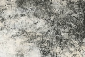 Fototapeta na Flizelinie MS-5-0361 Naturalna szarość abstrakcja 375 x 250 cm