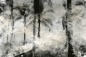 Fototapeta na Flizelinie MS-5-0374 Palma abstrakcja 375 x 250 cm