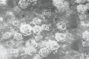 Fototapeta na Flizelinie MS-5-0378 Abstrakcyjna Róża II. 375 x 250 cm