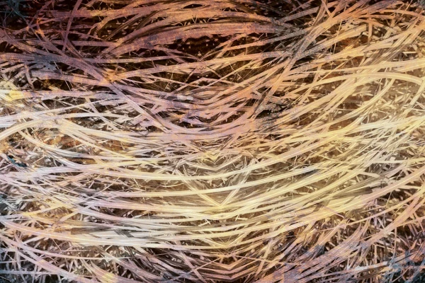 347430