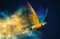 8ad3dd739ebb1bc8809168f50d6f56e5