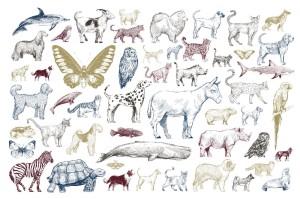 Fototapeta na flizelinie MS-5-1482 Kolekcja Animal II. 375 x 250 cm