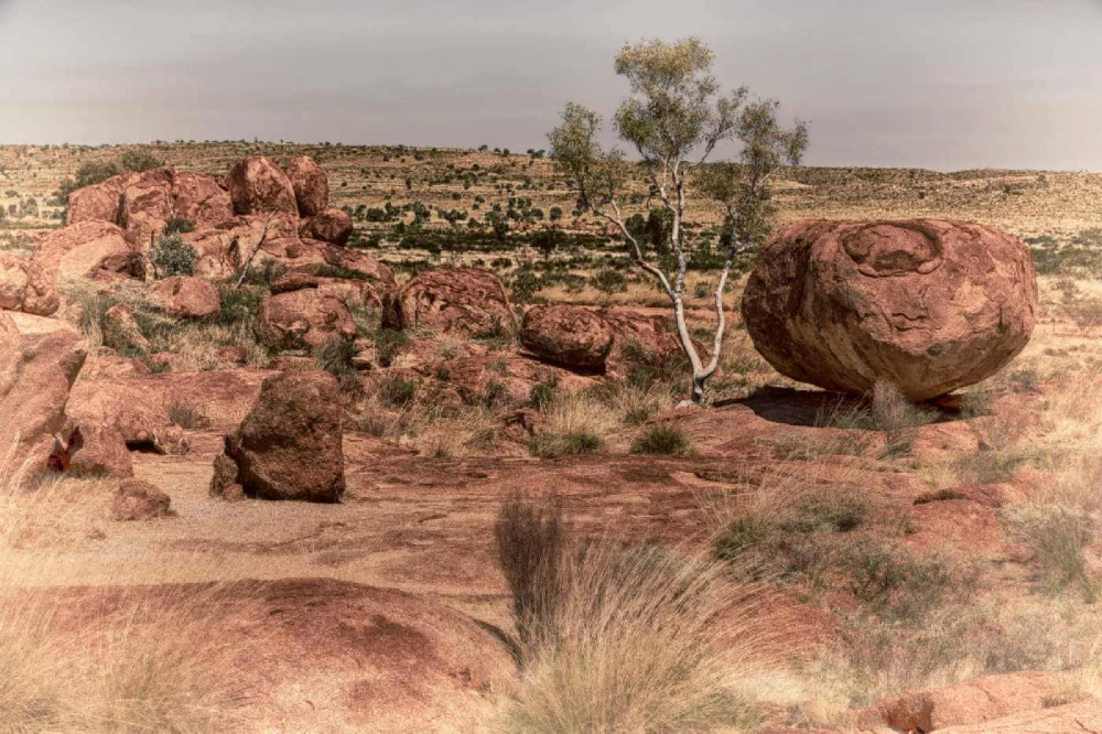 348554