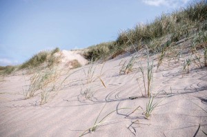 Fototapeta na flizelinie MS-5-1796 Sand Dune 375 x 250 cm