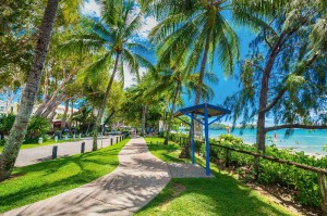 Fototapeta na flizelinie MS-5-1799 Palm Promenada 375 x 250 cm