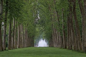 Fototapeta na flizelinie MS-5-1908 Versailles Park 375 x 250 cm