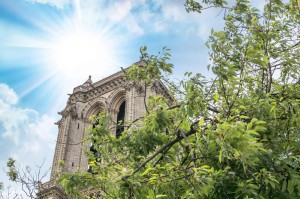 Fototapeta na Flizelinie MS-5-1021 Notre Dame 375 x 250 cm