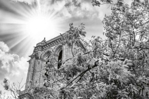 Fototapeta na Flizelinie MS-5-1023 Notre Dame szczegóły 375 x 250 cm
