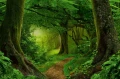1deed3fceee4507ebaa936b78dd9bb08